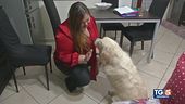 Discriminata perchè cieca