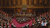 La manovra arriva in Senato