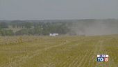 Raccolto del grano ridotto per la guerra