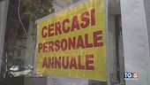 Il lavoro che manca, sussidi sotto accusa
