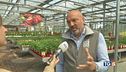 Tra giardino e terrazzo boom degli orti in casa