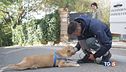 Per i nostri animali non badiamo a spese!