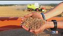 Una missione navale per scortare grano ucraino