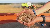 Una missione navale per scortare grano ucraino