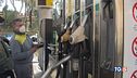 Benzina a 2 euro, rincari a catena