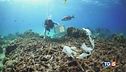 Salviamo gli oceani, polmone del pianeta