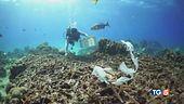 Salviamo gli oceani, polmone del pianeta