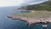 Quelle piccole isole, scrigni di biodiversità
