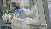 Covid, crescono i tamponi ma scende il tasso di positività