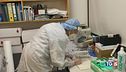 Covid, incidenza +40% "La quarta dose ai fragili"
