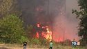 L'Italia in fiamme mano dell'uomo?