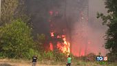 L'Italia in fiamme mano dell'uomo?