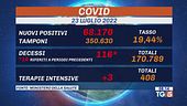 Covid, andamento lento. Timori vaiolo scimmie