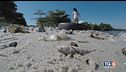 Per salvare la terra natura va rispettata