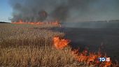 Grano, bruciano i campi. 53 morti nella prigione