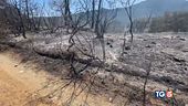 Maltempo verso il sud Campi e boschi in fumo