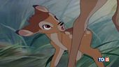 Bambi nel fa 80, è ancora amatissimo
