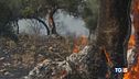 Piromani arrestati il Tg5 con i forestali