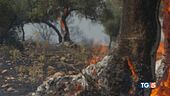 Piromani arrestati il Tg5 con i forestali