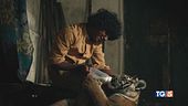 "Il ragazzo e la tigre" un film molto atteso