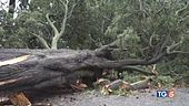 La furia del maltempo, centronord devastato