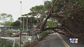 Conta dei danni e controesodo