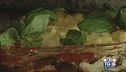 Gusto verde - La parmigiana di  melanzane