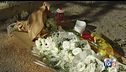 Funerali per Alessandro, Gragnano sotto choc