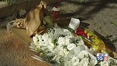 Funerali per Alessandro, Gragnano sotto choc