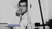 Patrick Demarchelier: l'icona della fotografia