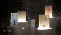Metaspore: la mostra delle spore