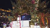 Le luci illuminano la "Holiday season"