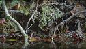 Ep. 3 - Autunno