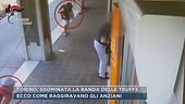Torino, sgominata la banda delle truffe