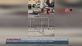 Valdobbiadene, un cervo corre in comune