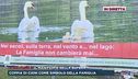 Il manifesto nella bufera
