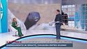 Vietati gli allevamenti di animali da pelliccia