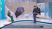 Vietati gli allevamenti di animali da pelliccia
