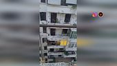 Grandi stormi di uccelli nei cieli di Roma