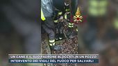 Un cane e il suo padrone bloccati in un pozzo