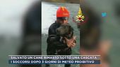 Salvato un cane rimasto sotto una cascata