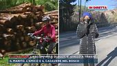 La scomparsa di Lilly, è giallo a Trieste