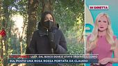Trieste, dal bosco dove è stato trovato il corpo