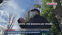 Lilly, Claudio sulla nuova testimone