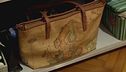 Sebastiano e la borsa di Lilly