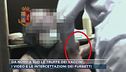 Da nord a sud le truffe dei vaccini