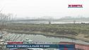 Paura per il livello basso del Po