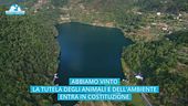 L'ambiente nella Costituzione