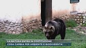 La natura entra in Costituzione