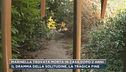 Marinella trovata morta in casa dopo 2 anni